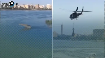 فيديو زرافة في نهر النيل بالقاهرة يثير جدل بعد إنقاذها بمروحية